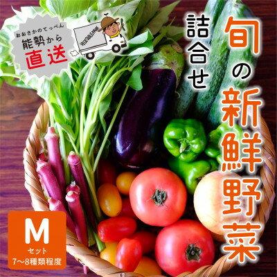 【ふるさと納税】『大阪能勢産』　農家直送!べじたぶるぱーくの旬の新鮮野菜詰合せ　Mセット(7～8種類)　【配送不可地域：離島】【1509078】