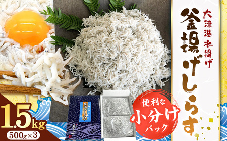 釜揚げしらす 小分け 大津港水揚げ しらす 1.5kg (茨城県共通返礼品：北茨城市) 川崎水産有限会社 《30日以内に出荷予定(土日祝除く)》釜揚げ 小分けパック 減塩 茨城県 河内町【配送不可地域あり】（沖縄・離島）