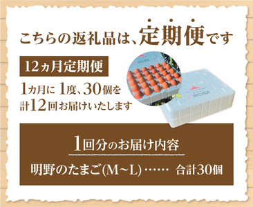 【12ヶ月定期便】金賞受賞 明野のたまご30個　卵 鶏卵  M～L サイズ 定期便 12ヶ月 知事賞 金賞受賞 たまご コク 旨味 濃厚 山梨県 北杜市産 明野 ハイチック [h081]