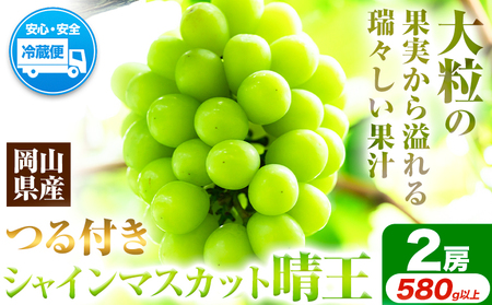 シャインマスカット（晴王）2房(1房580g以上)【配送不可地域あり】
