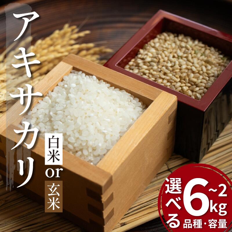 【ふるさと納税】 令和7年産 新米予約 米 選べる 白米 玄米 選べる 容量 2kg から 6kg アキサカリ 令和7年度産 1袋2kg 小分け お米 こめ 白米 精米 ごはん ご飯 白飯 ゴハン コメ 吉野川 徳島県 吉野川市
