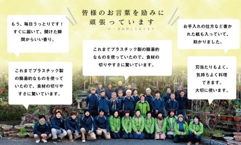 スグレ 取手付まな板 Mサイズ
