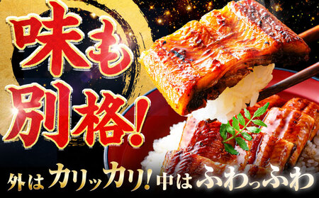 【全3回定期便】中国産 特大うなぎ蒲焼 計660g（220g×3尾）吉野ヶ里町/株式会社フジマキ うなぎ ウナギ 蒲焼[FDM011]