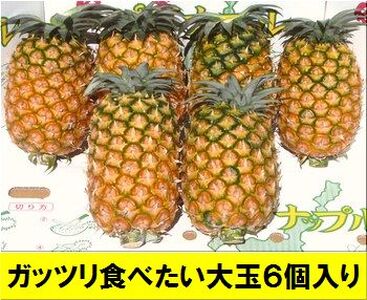 【先行予約】《2025年夏季 順次発送》黄金パイン大玉6個入 計9.0kg【 産地直送 沖縄 石垣 フルーツ パイナップル パイン 黄金パイン 】 【SI-53】