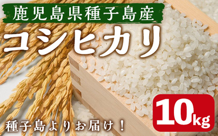 n360 ＜期間限定！＞種子島のお米！コシヒカリ(10kg) 国産 鹿児島県産 種子島 コシヒカリ こしひかり 米 お米 おこめ 白米 【なかたね農産】