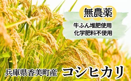 【先行予約 令和7年産米】【香美町産 無農薬 コシヒカリ 精米 5kg】令和7年10月中旬以降順次発送予定 特別栽培米 牛ふんたい肥使用、無農薬、化学肥料不使用で栽培している安全・安心なお米 炊きあが