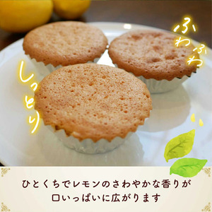 美浜檸檬マドレーヌ 10個 セット｜フレベールラデュ レモン 檸檬 れもん マドレーヌ 焼き菓子 洋菓子 おやつ お菓子 おかし スイーツ ケーキ おすすめ 人気 プレゼント カフェ パフェ 愛知県 