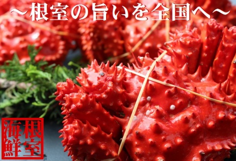 【北海道根室産】花咲ガニ410～500g×3尾 B-57017