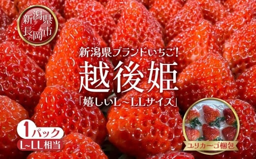 
            O9-12新潟県長岡産いちご「越後姫」420g 1パック
          