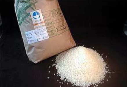 【令和6年産】特別栽培米 コシヒカリ 10kg  新潟県認証 1G02031