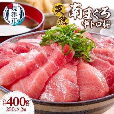 ふるさと納税 焼津市 天然 ミナミマグロ 中トロ 柵 刺身 焼津 海の極 計400g 200g×2(a16-195)