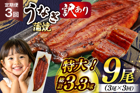 うなぎ 訳あり 鰻 蒲焼 特大 3尾 3回 定期便 総計約3.3kg 不揃い 規格外 小分け [大黒物産 福岡県 宇美町 um40bak830015]