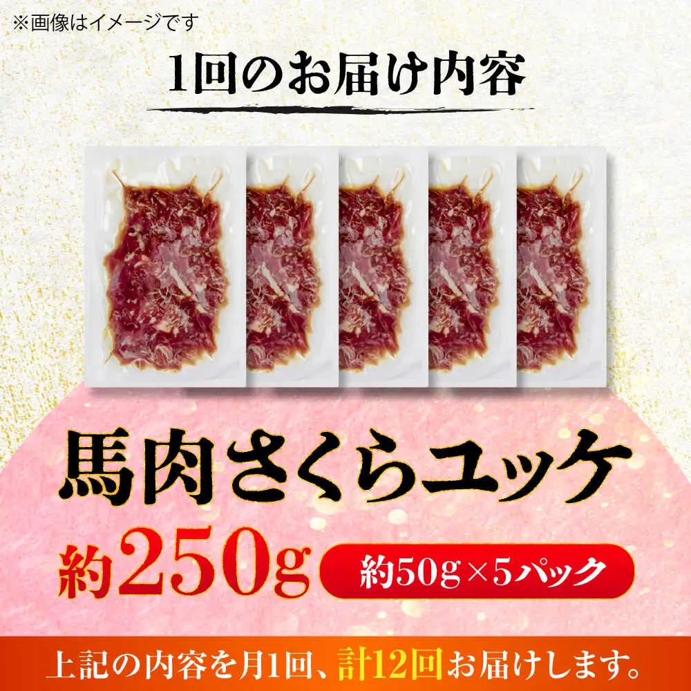 全12回定期便 馬肉さくら ユッケ 約250g ユッケ BHCY032