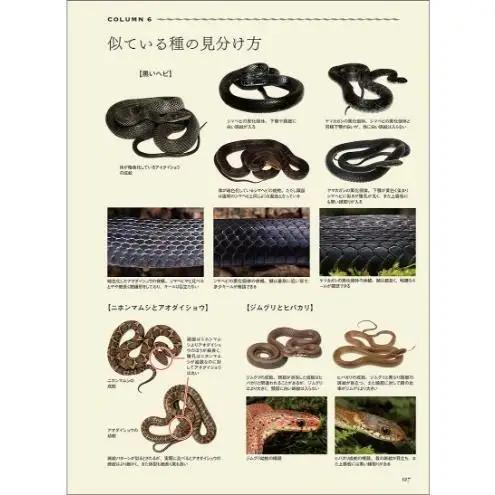 書籍『日本ヘビ類大全』 田原義太慶 福山伊吹 福山亮部 堺淳 誠文堂新光社 東京都 文京区