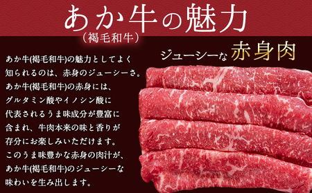 あか牛(褐毛和牛) ローススライス 500g 熊本県産 肉 和牛 牛肉 赤牛 あかうし 冷凍 《7月中旬-8月中旬頃出荷予定》送料無料 熊本県 菊池市 