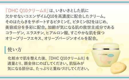 DHC Q10クリームII（100g） AKH0007