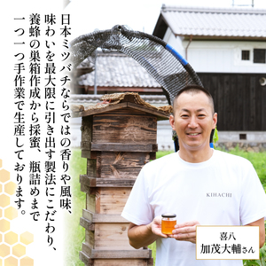 はちみつ 70g 無添加 非加熱 ハチミツ 希少 日本ミツバチ