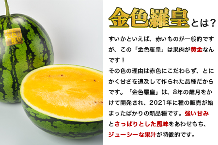 【日付指定不可】『きよたファーム』の黄色すいか1玉 《5月上旬-7月中旬頃出荷》熊本県玉名郡玉東町『きよたファーム』｜人気スイカ ブランドスイカ 特産スイカ 熊本県スイカ 玉東町スイカ 大人気返礼品