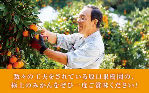 【☆先行予約☆】『元祖！』原口みかん 5kg＜原口果樹園＞ [CCW001]