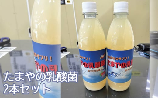 たまやの乳酸菌　500ml　2本セット ／ 液体エサ 小型淡水魚用 グッドアクアリウムデザイン賞 東京都 No.099