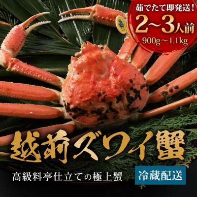 ふるさと納税 福井市 【1〜3月に発送】福井の老舗カニ料理店「越前ずわいがに」大1杯(900g〜1.1Kg、姿で発送)