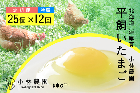 【全12回定期便】たまご 平飼い 有精卵 25個 冷蔵便 [AXAN006]