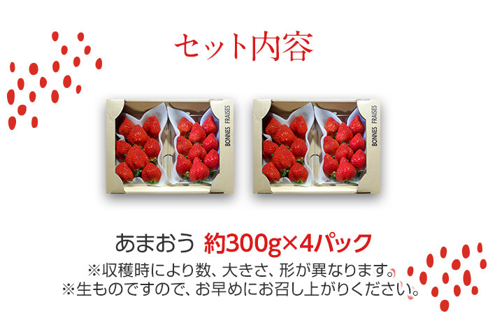 荒巻エコタロウ農園のあまおう約300g×4パック(約1200g)　BJ04