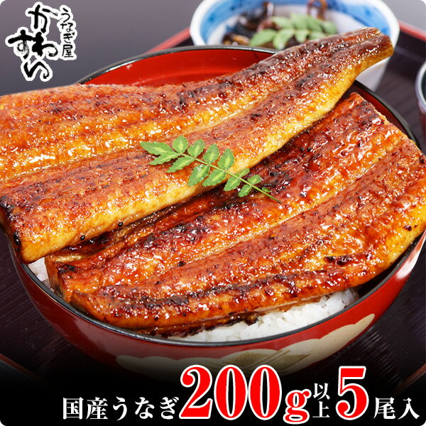 【ふるさと納税】 超特大 国産 うなぎ 蒲焼き 5本セット 合計1kg〈 うなぎ屋 かわすい 〉 送料無料 レビュー 高評価 人気 ボリューム満点 贈答用 土用丑の日 ギフト 父の日 和歌山特産品 和歌山県 有田市　（A489-1）