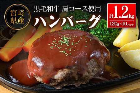 ハンバーグ 1.2kg 肉 牛肉 B677