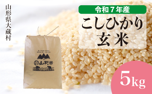 ＜令和7年産＞ こしひかり 【玄米】 5kg （5kg×1袋）＜数量限定・配送時期選べます＞　山形県 大蔵村