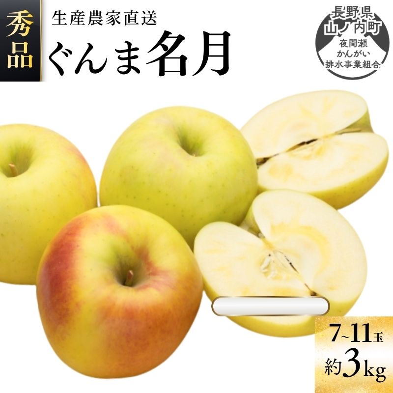 【ふるさと納税】ぐんま名月 秀品 約3kg 7～11玉 りんご 果物 信州 長野 秀品ぐんま名月 信州産 長野県山ノ内町夜間瀬 先行予約 産地直送　お届け：2026年11月上旬～下旬