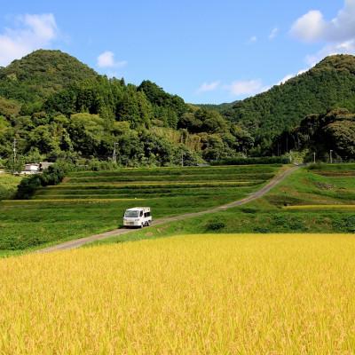 ふるさと納税 東温市 〈坂本自然農場 穂田琉〉 特別栽培米:ひめの凜　精米2kg |  | 03