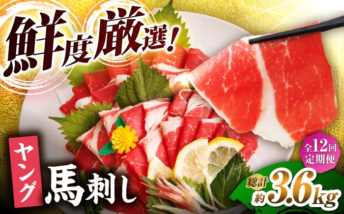 
                  【12回定期便】ヤング馬刺し 計300g（3pc）＋タレ小 馬刺し ヤング 馬刺し 馬肉 桜肉 馬 肉 便利 小分け 3パック タレ付き コリコリ 歯ごたえがある 首周りのお肉 冷凍 生食 肉食 刺身 九州 熊本県 特産品 山鹿 送料無料 【馬刺しの郷 民守】[ZBL102]
                