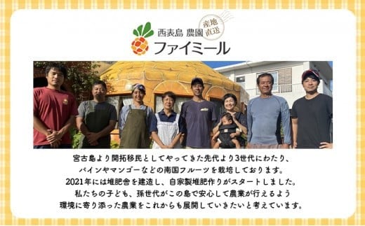 2027年 先行予約 アップルマンゴー 約4kg 8～12玉入り 八重山マンゴー品評会総合1位を計3回獲得！高糖度保証！農園ファイミール 濃厚 果物 フルーツ 031-a008-2027