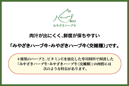 ＜みやざきハーブ牛 手ごねハンバーグ「生」（140g×10個）＞入金確認後、翌月末迄に順次出荷【TVで話題沸騰！】【c458_fw_x4】