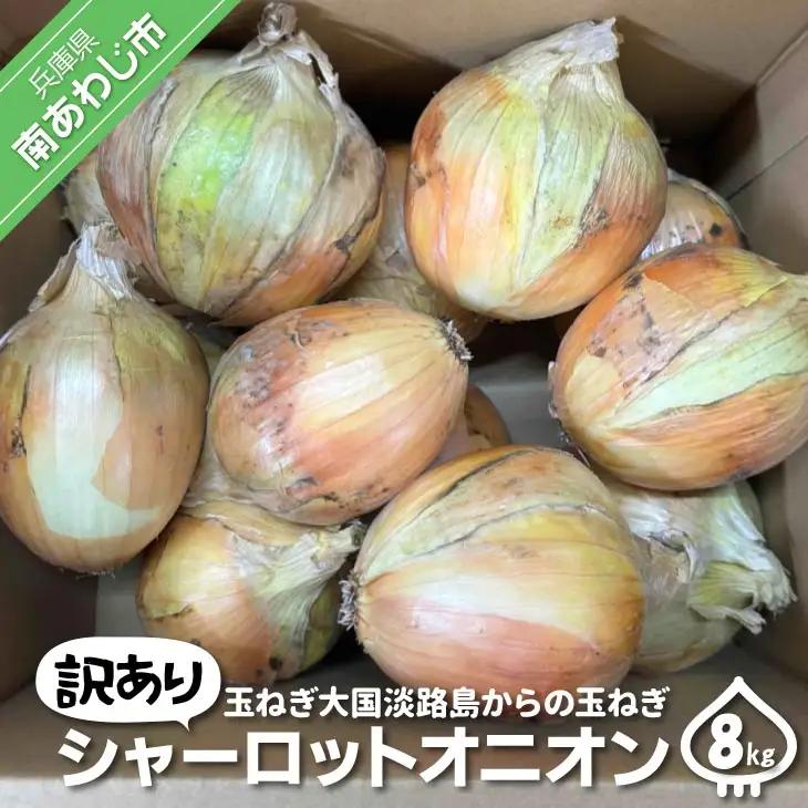 【訳あり】淡路島極熟玉葱　シャーロットオニオン【8kg】　玉ねぎ大国淡路島からの玉ねぎ