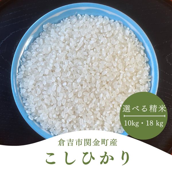 【ふるさと納税】コシヒカリ 選べる精米歩合 10kg～18kg 令和7年産 新米 お米 米 こめ コメ こしひかり コシヒカリ ご飯 ごはん 鳥取県 倉吉市産