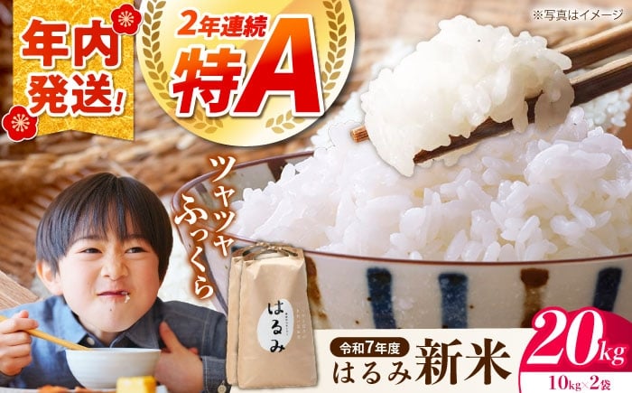 
            【年内発送】【新米】 米 新米 はるみ 20kg (10kg×2袋) 令和7年産 白米 お米 ご飯 精米 はるみ ハルミ ご飯 ごはん ライス 白飯 おこめ こめ おいしいお米 銘柄米 ブランド米 食卓 主食 料理 自炊 お弁当 おにぎり おむすび 朝食 甘み つや おいしい 産地直送 国産 神奈川県 開成町産【遠藤ファーム】 特産品  農家直送 新米 20キロ 2袋 [BDAF003]
          