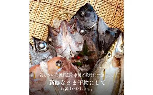 【完全受注生産】 本物のこだわり！半七の干物セット 贅 -Zei- 〈冷凍〉｜ 高級干物 手作り 氷見直送 添加物不使用