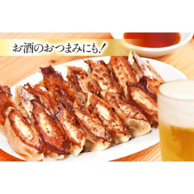 ふるさと納税 島原市 焼くだけ!一か月に1500個売り上げる餃子 45個(15個×3パック) |  | 03