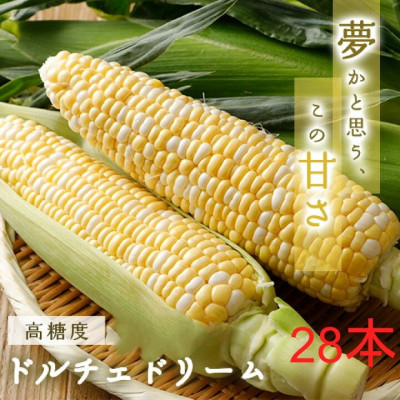 
糖度20度!甘くて美味いとうもろこし「ドルチェドリーム」 28本【1487433】
