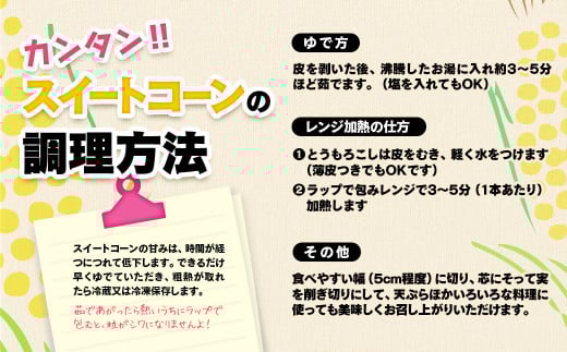 鮮度が命！生産者直送 緒方さんちの朝どれスイートコーン『イエロー』7㎏【先行予約】＜1-43＞【残りわずか】