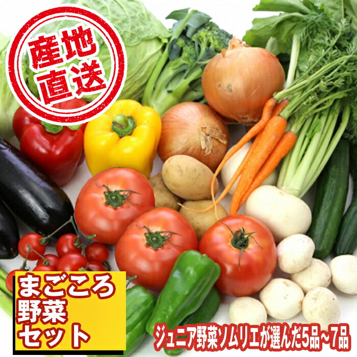 【ふるさと納税】 野菜 おすすめ やさい セット 滝沢まごころ野菜セット (5～7品) 果物 加工品 詰合せ 詰め合わせ 新鮮 美味しい 産直 チャグチャグ 旬 季節の野菜 地場産品 特産 名産 ジュニア野菜ソムリエ 産地直送 産直直送 山菜 岩手県 滝沢市 送料無料 滝沢産業開発