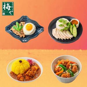 鶏肉専門店梅やのTORIFRO冷凍アジアン鶏総菜4種セット AGQ0008