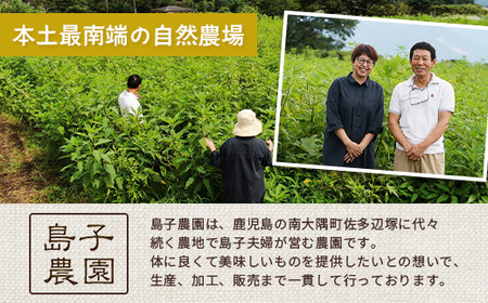 菊芋の恵みセット SK-13｜菊芋 きくいも ノンフライ ノンオイルせんべい お菓子  焙煎 おつまみ グルメ お取り寄せ 鹿児島県 南大隅町 島子農園