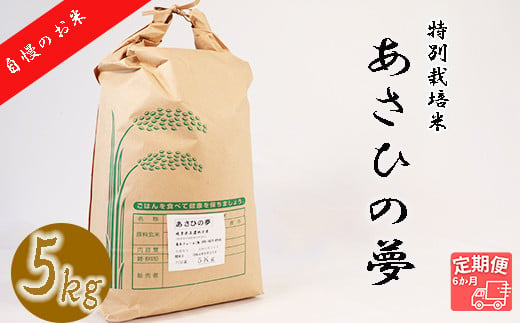 
【6か月定期便】垂井町産あさひの夢(5kg×6回）
