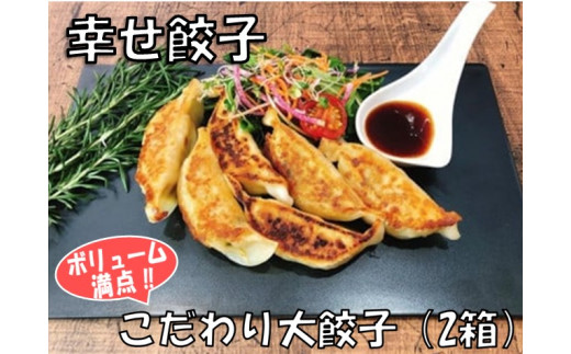 
006-20幸せ餃子のボリューム満点こだわり大餃子（2箱）
