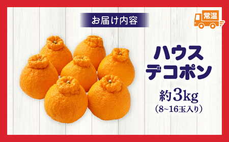ハウスデコポン約3kg（8-16玉）【香川県共通返礼品】 | デコポン 甘い 酸味 柑橘 柑橘系 果物 フルーツ 青果 デザート グルメ おすすめ 贈答 贈り物 贈答用 ギフト プレゼント 特産品 特
