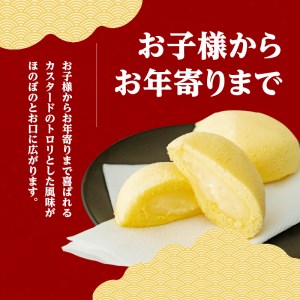 かすたどん 16個入 K167-001 限定 期間限定 菓子 スイーツ 銘菓 蒸し菓子 卵 たまご カスタード カスタードクリーム ふんわり スポンジ ソフト 風味 九州 特産品 鹿児島特産品 お土産