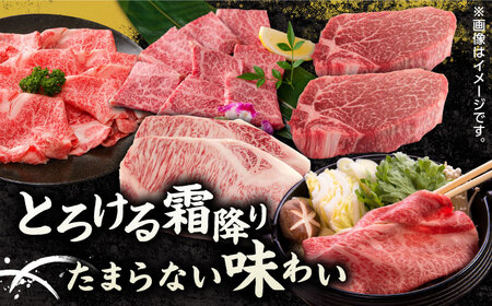 【12回定期便】くまもと黒毛和牛 贅沢定期便（ステーキ すき焼き しゃぶしゃぶ 焼肉）【馬刺しの郷 民守】 スライス バラ 和牛 サーロイン 肩ロース すき焼き 焼肉用 しゃぶしゃぶ [ZBL037]